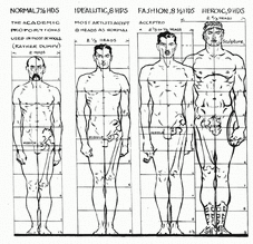 Basic male body proportions : r/drawing